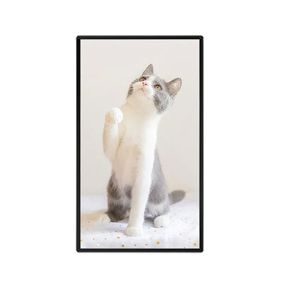 Android 43 Inch Digital Signage Display , LCD Wall Mounted Advertising Screen