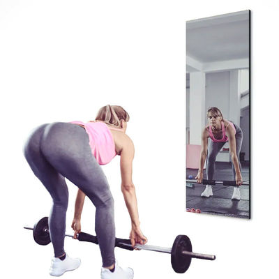 Wall Mounted Smart Fitness Mirror 49 Inch 500cd/M2 For Exercise